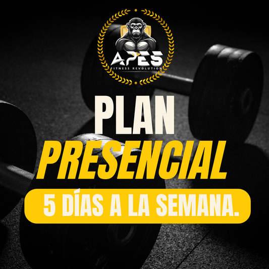 Plan Presencial Mensual (5 días a la semana)